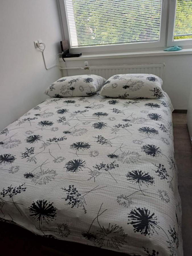 Apartma Nadja Maribor Exterior foto