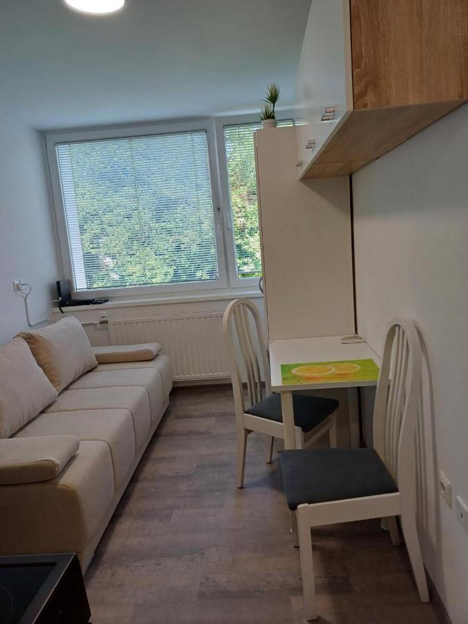 Apartma Nadja Maribor Exterior foto